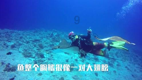 江西财大新商界赣州24班新春团圆饭暨学习沙龙活动