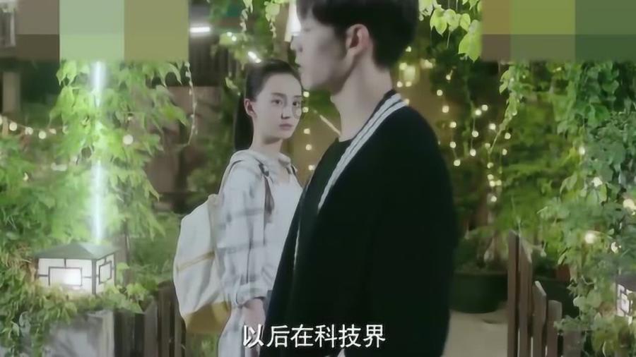 救援小犬立苏