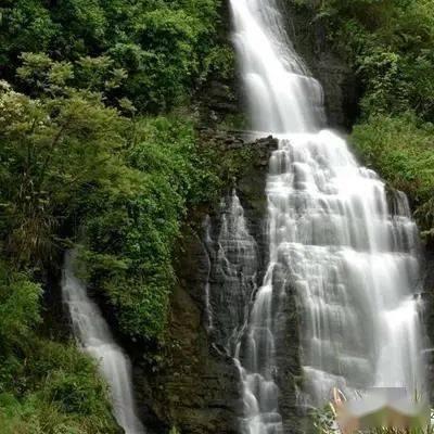 模拟山羊
